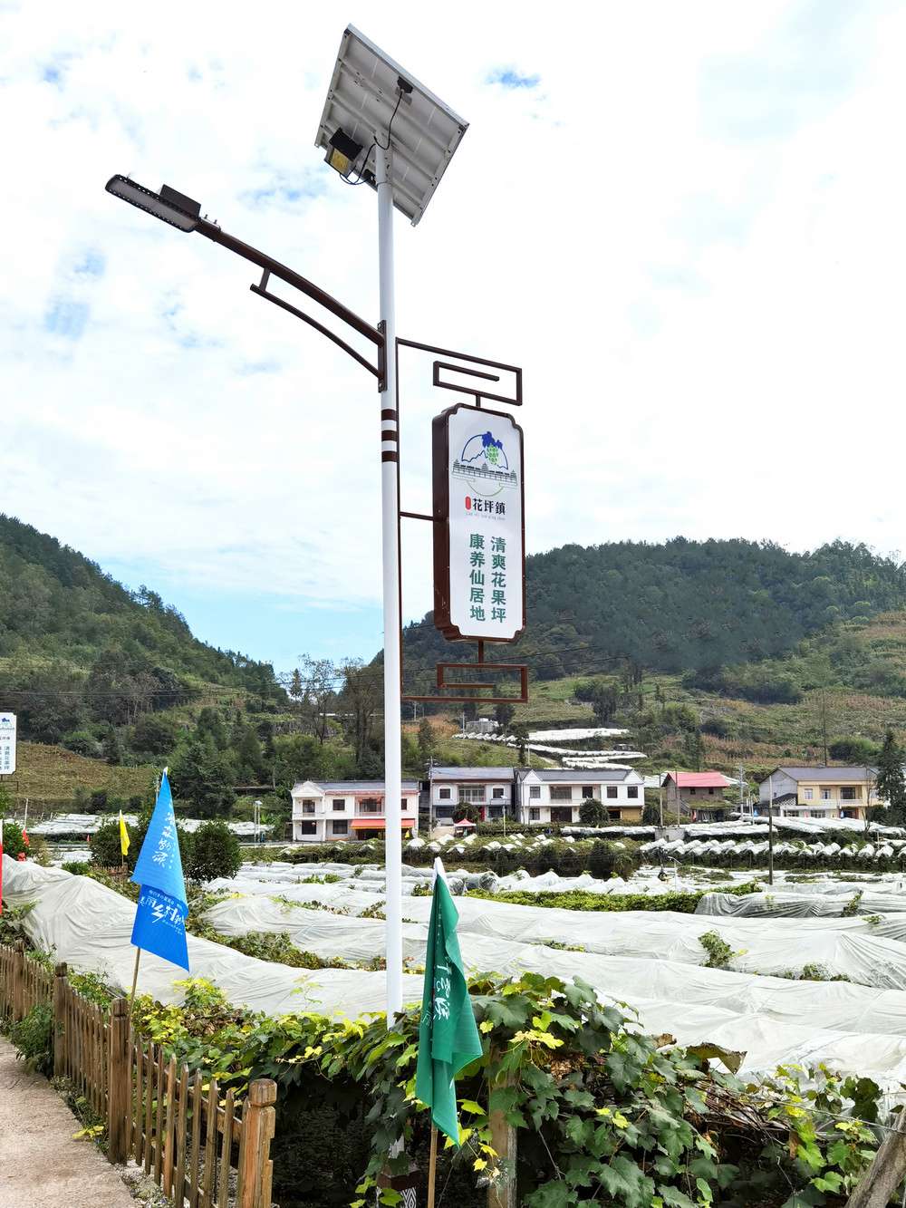2019花坪鎮(zhèn)路燈建設(shè).jpg